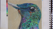 Dayrit, Kristine - Hummingbird