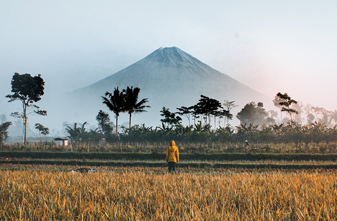 Person in a yellow coat standing in a field with a volcano in the background. Taken in Indonesia.